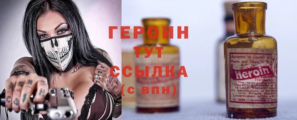 гидра Вяземский