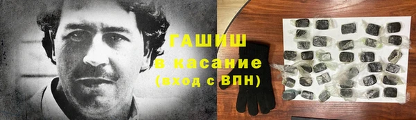 гидра Вяземский