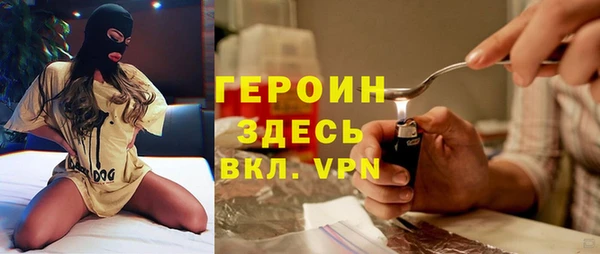 гидра Вяземский