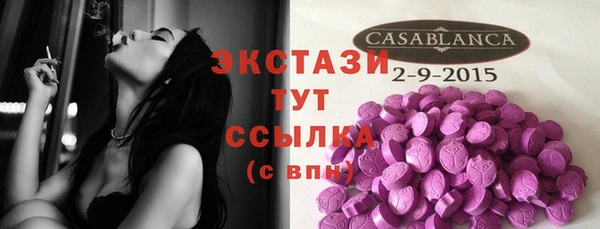 гидра Вяземский