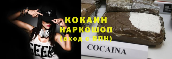 гидра Володарск