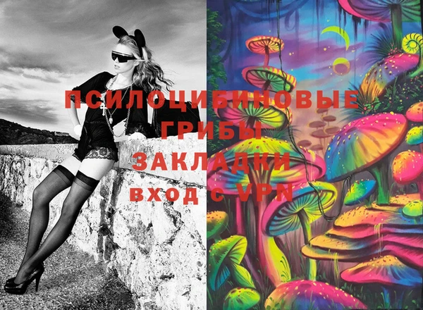 трава Вязьма