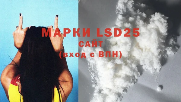 гидра Володарск