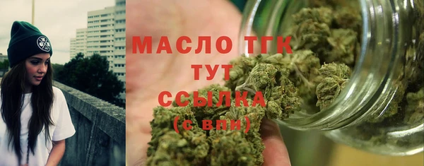 гидра Вяземский